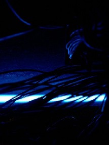 [Blick ins Innere von Denise]